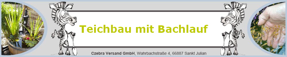 Teichbau mit Bachlauf